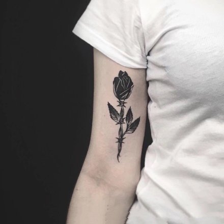 黑色的9张小清新黑色玫瑰花纹身图