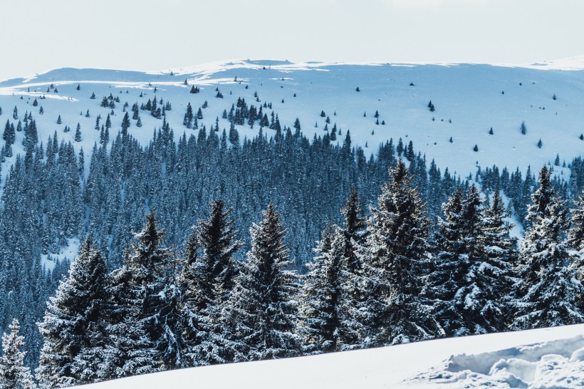 奥地利的雪山图片(10张)