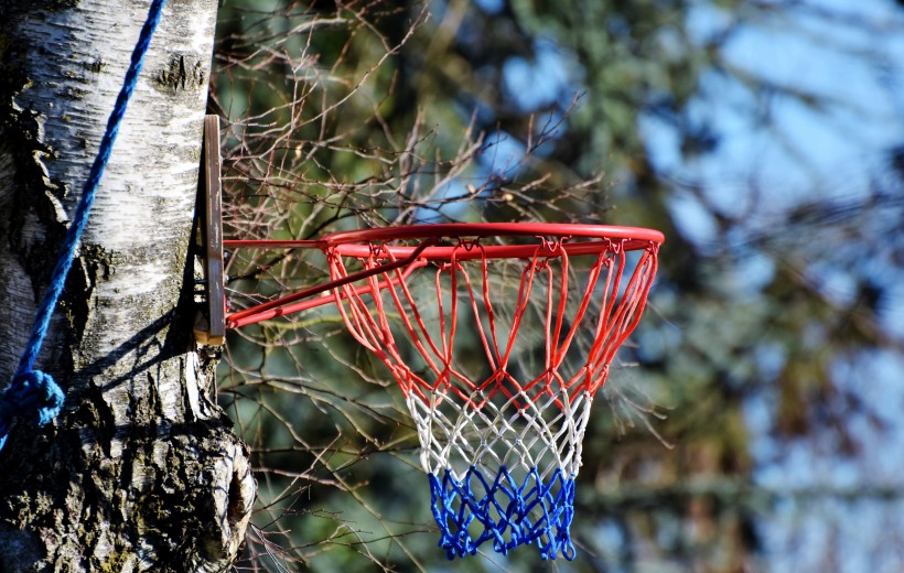 篮球架上的篮球框图片(13张)