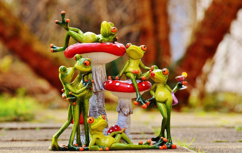 有趣的玩具青蛙图片(14张)