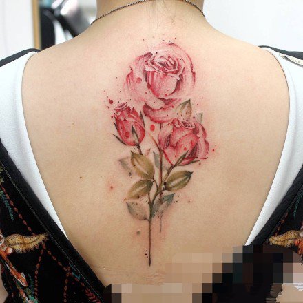 女生后背脊部的小清新纹身作品