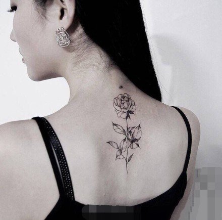 女生后背脊部的小清新纹身作品
