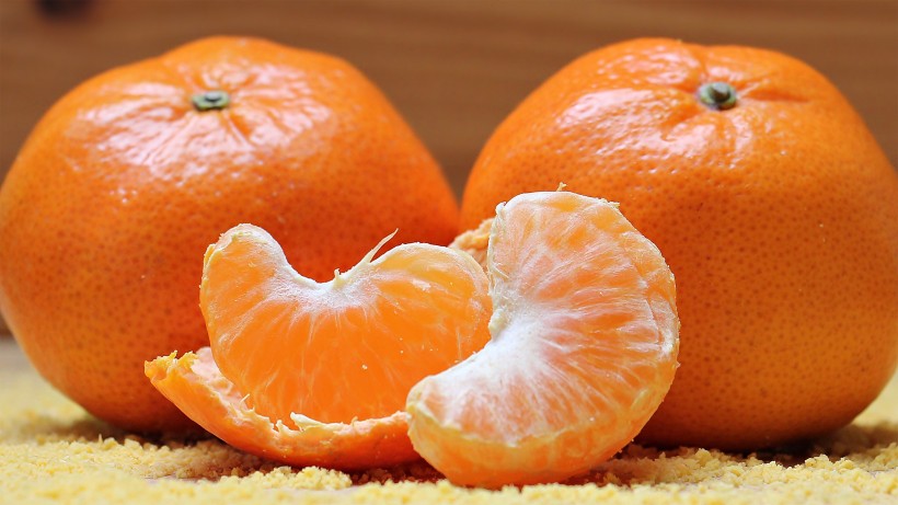 可口多汁的柑橘图片(9张)