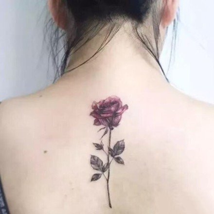 小清新的一组玫瑰花朵纹身图片赏析