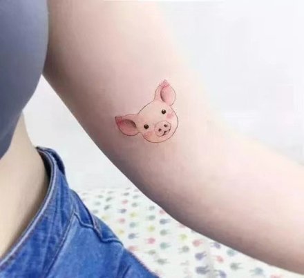 22张猪年的小猪主题纹身图案欣赏