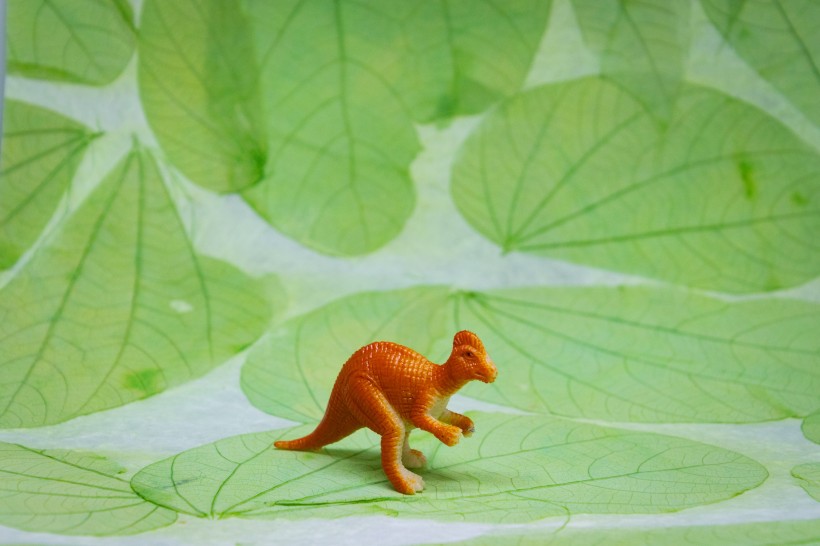 恐龙玩具模型图片(9张)