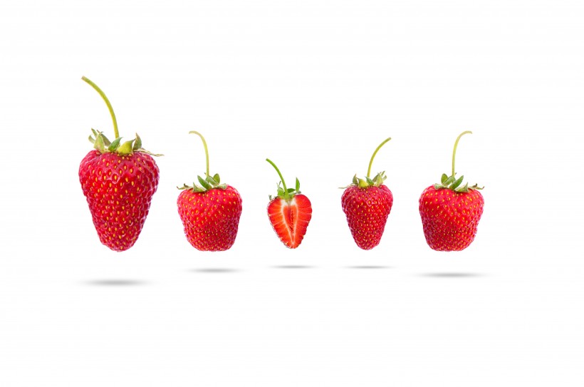 白色背景的草莓素材图片(12张)