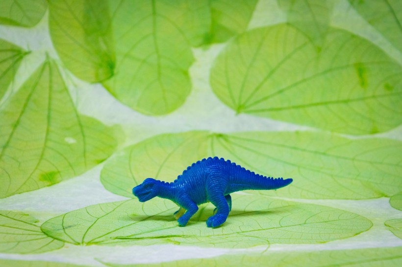 恐龙玩具模型图片(9张)