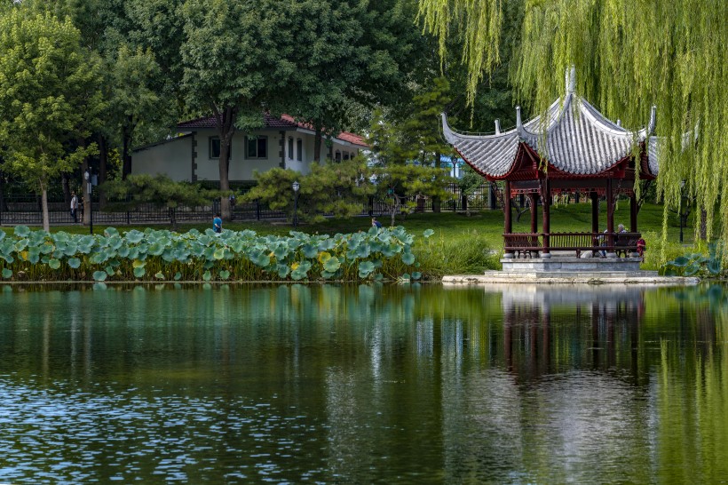 北京陶然亭公园风景图片(9张)