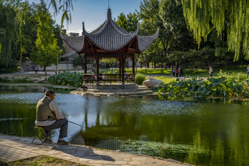 北京陶然亭公园风景图片(9张)