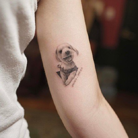 很可爱的宠物小狗狗纹身图片9张