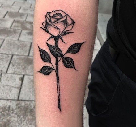 漂亮的一枝玫瑰花纹身图案9张