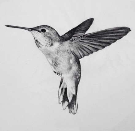 一组蜂鸟主题的纹身图案作品