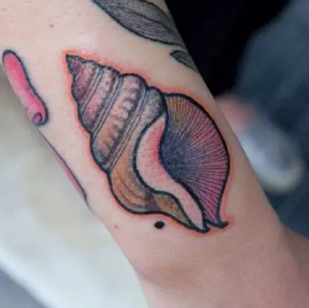 9张美丽的贝壳主题纹身作品图案