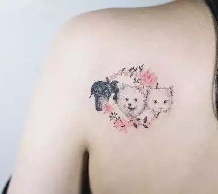 18组可爱的小猫小狗的宠物纹身图
