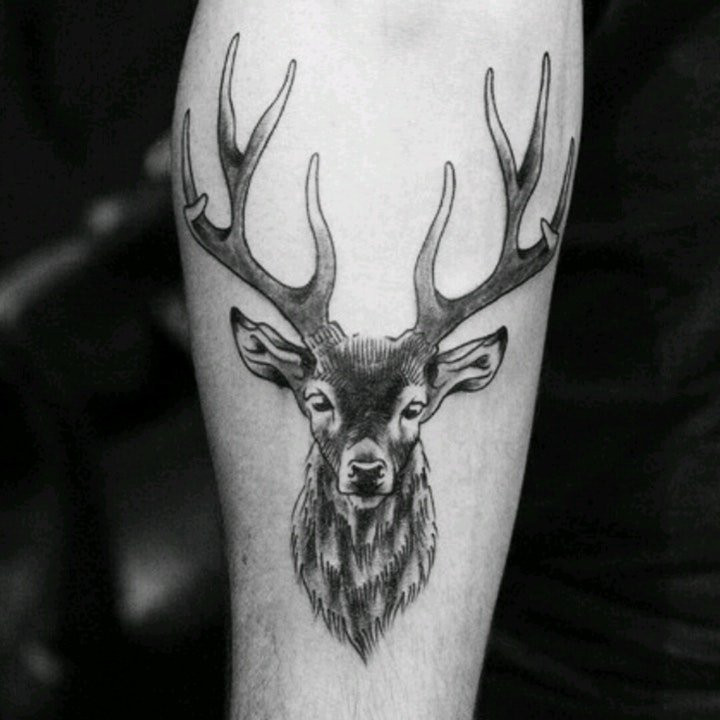 小鹿纹身图案  漂亮温顺的小鹿纹身图案