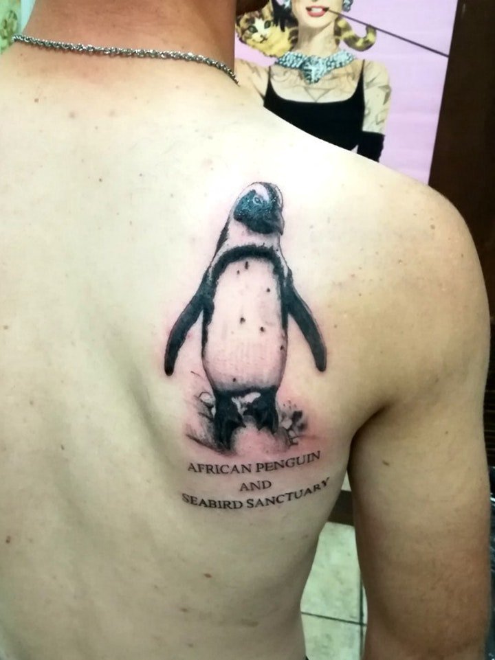 企鹅纹身图   10款呆萌圆润的企鹅纹身图案