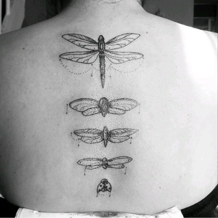 纹身黑色 多款黑色色调的小巧昆虫纹身图案