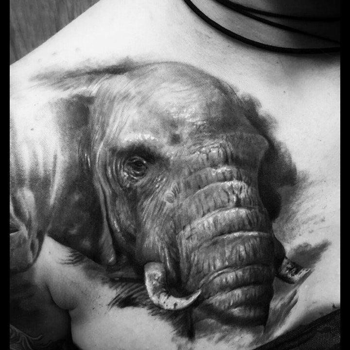 小象纹身 10组身躯庞大的小象主题纹身图案