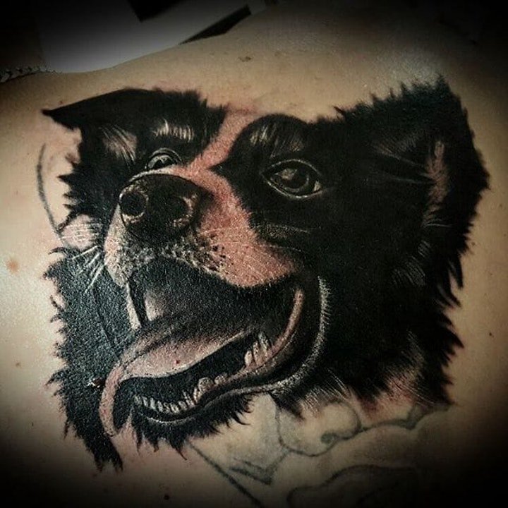 小狗纹身图案 10张身体各部位的小狗纹身图案图片