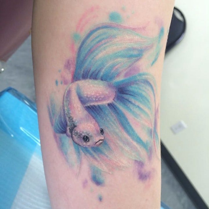 斗鱼纹身图案    灵动而又唯美的一组鱼纹身图案