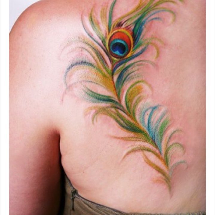 孔雀羽毛纹身 多款十分唯美的孔雀翎羽毛纹身图案