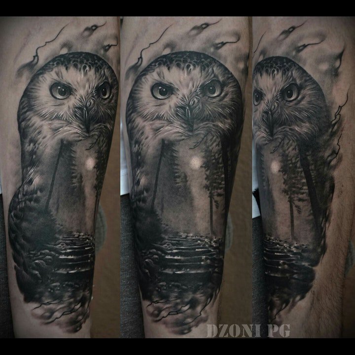 纹身猫头鹰图片  羽毛蓬松柔软的猫头鹰纹身图案