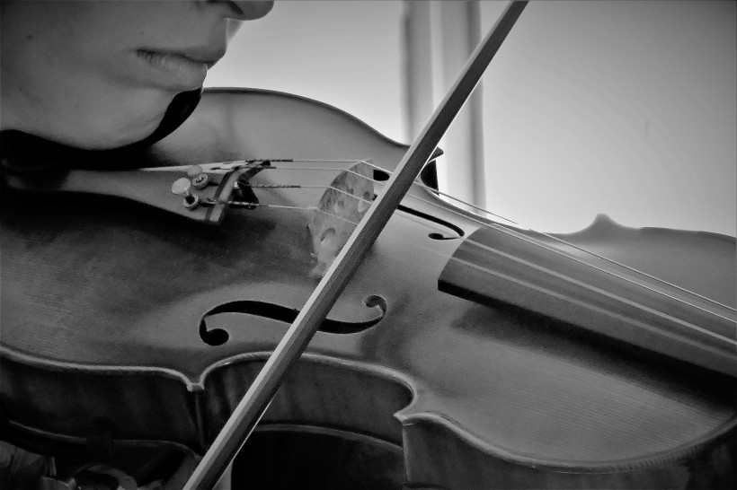 拉小提琴的人图片(14张)