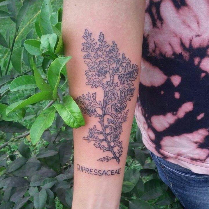 植物纹身图案 多款彩绘纹身创意和小清新纹身植物图案