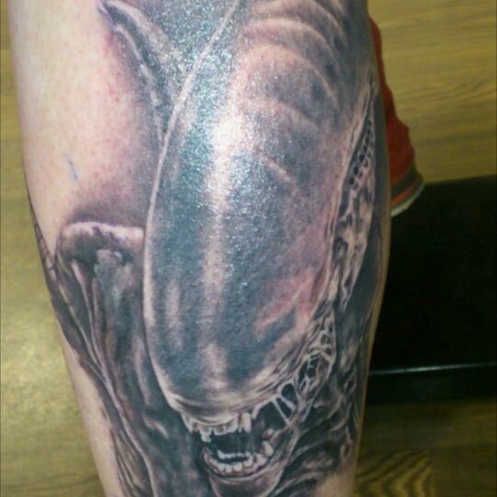 黑灰动物纹身 10组黑灰色调凶猛纹身动物系纹身图案