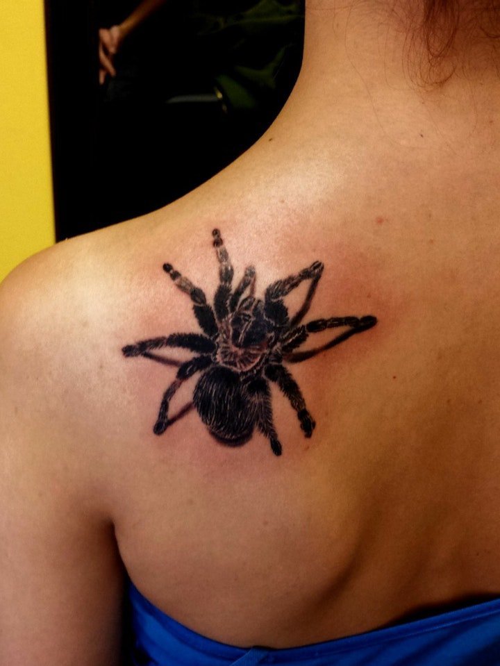 蜘蛛网纹身图案 黑灰色调个性十足的蜘蛛或蜘蛛网纹身图案