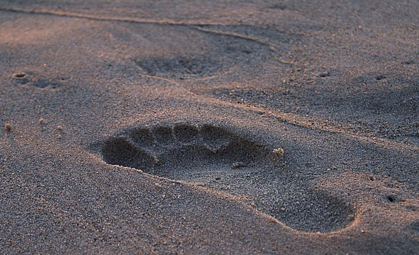 沙滩上的脚印高清图片(11张)