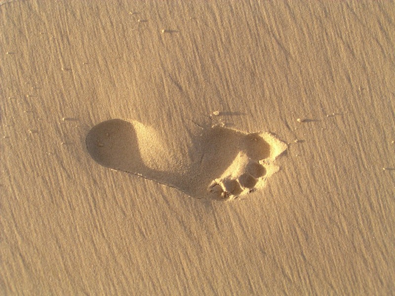 沙滩上的脚印高清图片(11张)