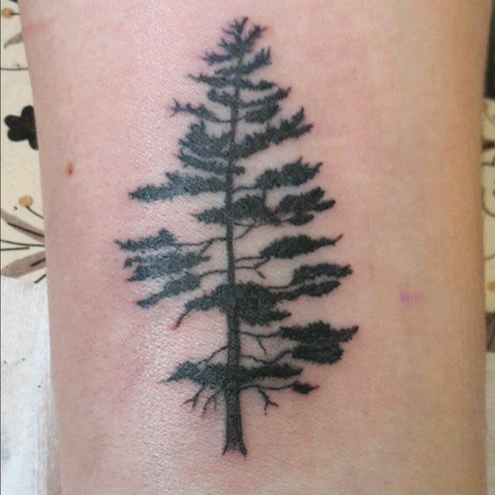 树的纹身图案 10张不同形态关于树的纹身图案