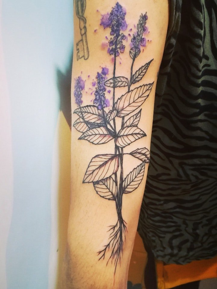 植物纹身图案 多款或黑灰或彩色十分漂亮的植物纹身图案