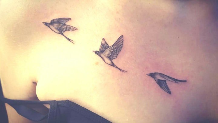 小鸟纹身图案 10组不同种类的鸟主题纹身图案欣赏