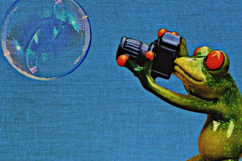 拿着相机拍照的青蛙玩具图片(10张)