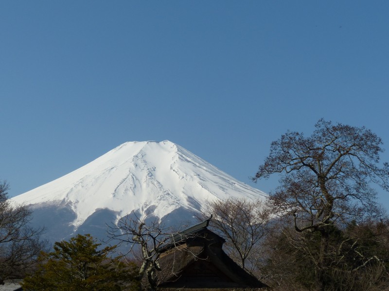 有积雪的富士山图片(12张)