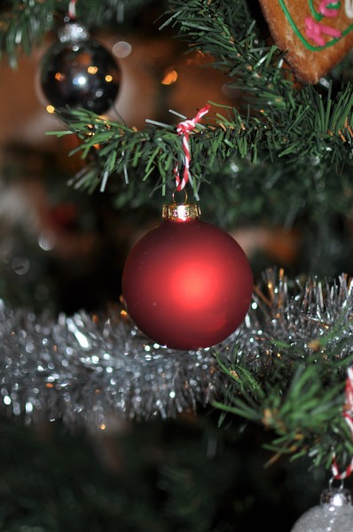 装饰精美的圣诞树图片(15张)