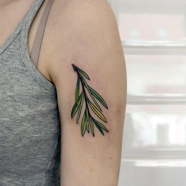 植物纹身图案 10张唯美且清新的植物纹身图案
