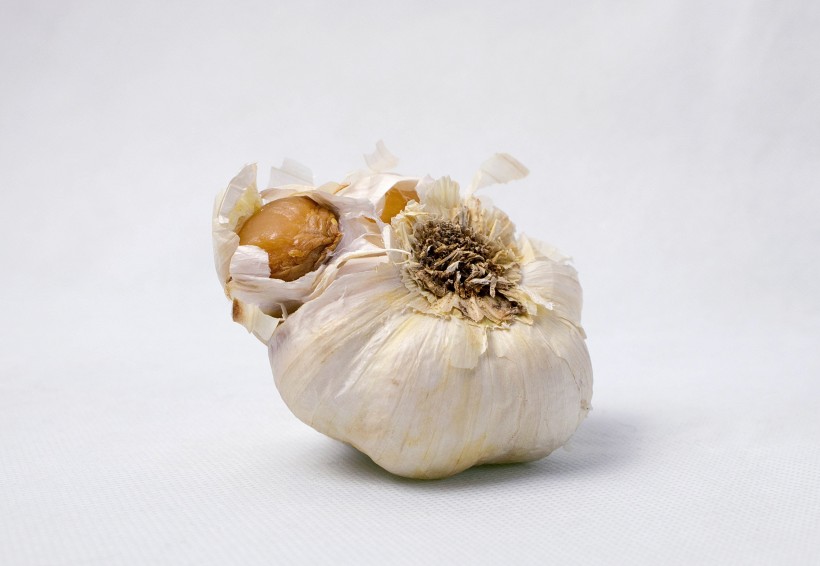 扁球形的大蒜图片(12张)