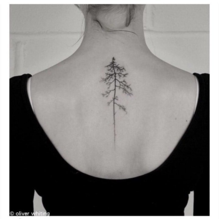 纹身树木的图像  生机勃勃的树木纹身图案