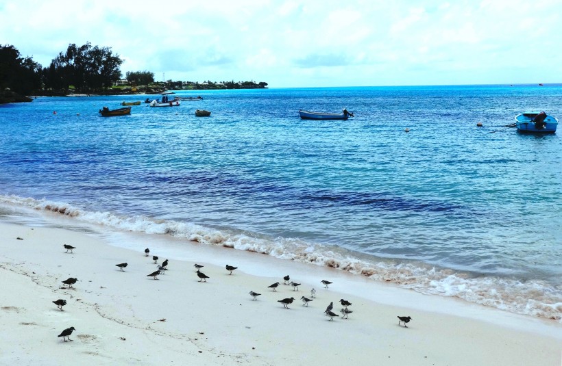 巴巴多斯海滩风景图片(10张)