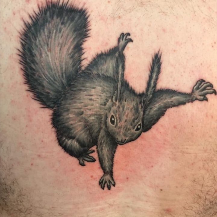 松鼠纹身  9张技巧性十足的呆萌松鼠纹身图案