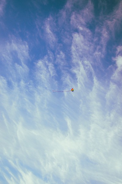天上的风筝图片(11张)