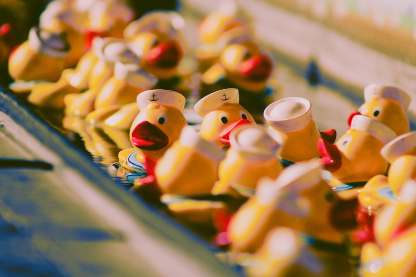 可爱的橡胶玩具鸭图片(8张)