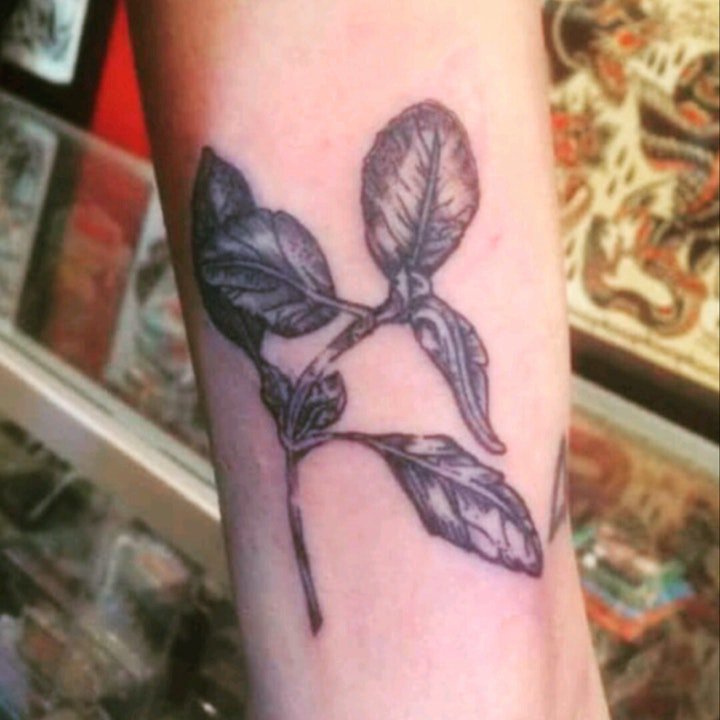 植物纹身图案 形态万千的植物纹身图案
