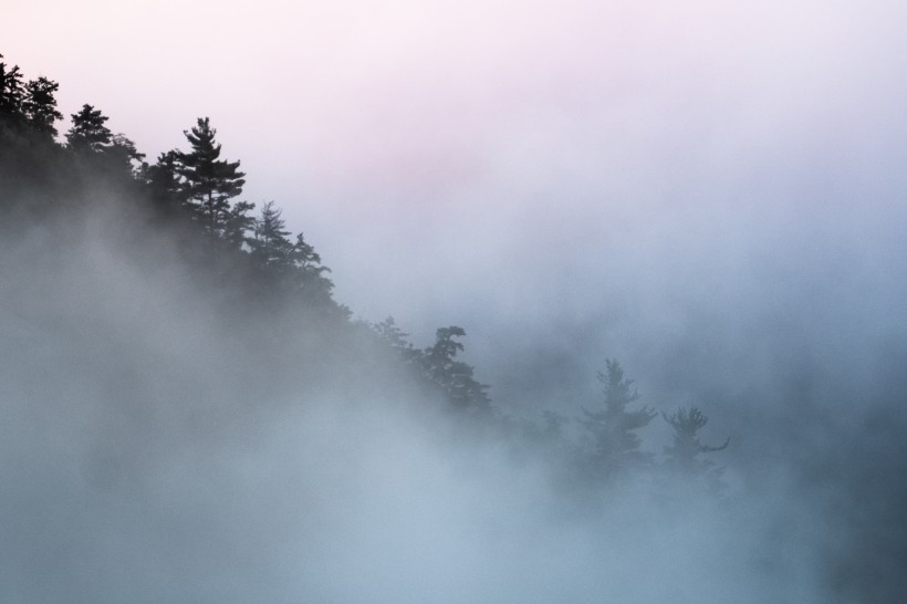 大雾天的森林图片 (13张)
