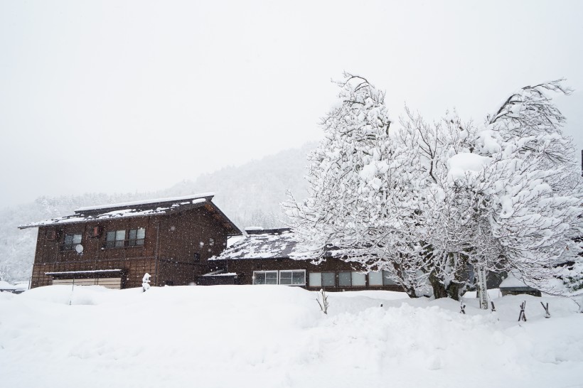 日本白川乡雪景风景图片(9张)