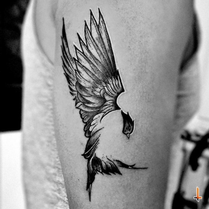 翅膀纹身图案 10张黑灰纹身与彩绘纹身风格的翅膀纹身图案